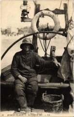Berck-Plage Loup de mer à Berck