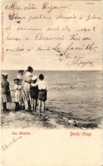 Berck-Plage Les Mouettes à Berck