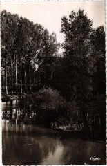 Beaune Le Serein à Beaune