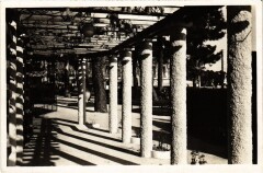 Juan-les-Pins La Pergola des Jardins carte photo