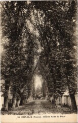 Chablis Grande Allée du Patis à Chablis