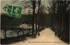 Coye Allée du Chateau de la Reine-Blanche