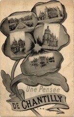 Une pensée de Chantilly à Antilly