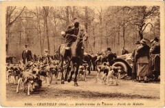 Chantilly Rendez-vous de chasse Hunting à Antilly