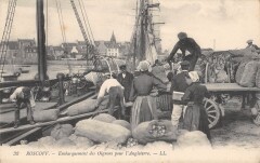 Roscoff - Embarquement Des Oignons Pour L'Angleterre à Roscoff