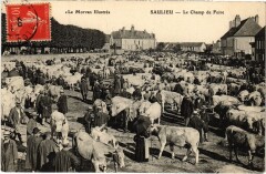 Saulieu Le Champ de Foire France à Saulieu