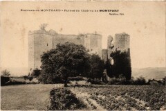 Environs de Montbard Ruines du Chateau de Montfort France à Montbard