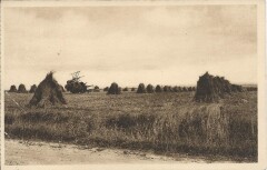Dans la plaine à Argentan