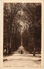 Mantes-la-Jolie L'Ile aux Dames - La Grande Allee à Mantes-la-Jolie