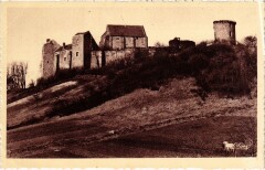 Chevreuse Ruines du Chateau Fort de la Madeleine à Chevreuse