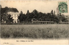Buc Chateau du Haut Buc