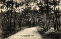 Le Vesinet Asile National du Vesinet - Un Coin du Parc