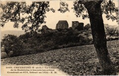 Chevreuse Chateau de la Madeleine à Chevreuse