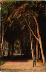 Foret de Compiegne Route de la Gouvernante