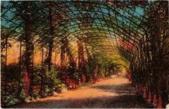 Compiegne Le Chateau La tonnelle