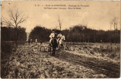 Foret de Compiegne Equipage du Francport dans le Berne Hunting