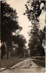 Viroflay L'Oree du Bois à Viroflay