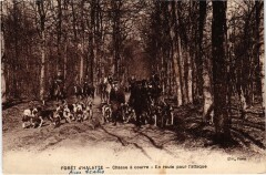Foret de Halatte Chasse a courre en toure