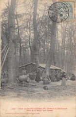 Foret De Saint Germain - Cabane De Bucherons - Pres De La Mare Aux Canard