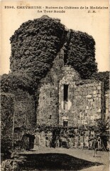 Chevreuse Ruines du Chateau de la Madeleine - Tour Ronde à Chevreuse