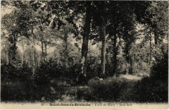 Saint-Nom-la-Breteche Foret de Marly - Sous Bois