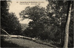 Saint-Nom-la-Breteche Foret de Marly