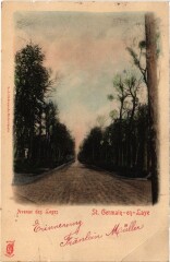 Saint-Germain-en-Laye Avenue des Loges à Saint-Germain-en-Laye