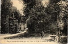 Carte postale ancienne Saint-Nom-la-Breteche - Foret de Marly - L'Etoile de la Tasse
                                                                     à Saint-Nom-la-Bretèche
                                