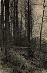 Dampierre Pont