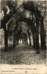Marly Vieille allee du Chateau
