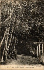 Marly La Foret Allee Sauvage