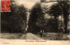 Marly Etoile de Joyenval à Saint-Nom-la-Bretèche