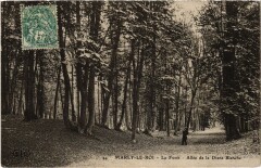 Marly La Foret Allee de la Diane Blanche