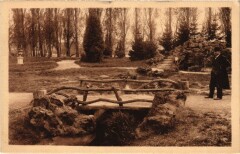 Mantes Ile aux Dames Pont Rustique