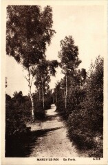 Marly En Foret à Marly-le-Roi