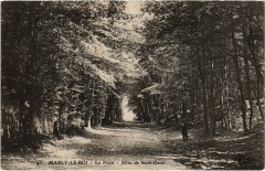 Marly La Foret Allee de Saint-Denis