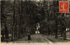Marly Allee de la Grande Source