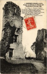 Montfort l'Amaury Donjon de Guillaume de Hainaut -
																					78490 Montfort-l'Amaury
																			