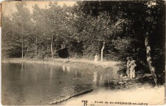 Foret de Saint-Germain en Laye à Saint-Germain-en-Laye