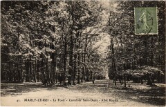 Marly La Foret Allee Royale