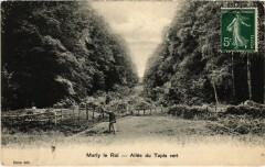 Marly Allee du Tapis vert