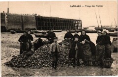 Cancale - Triage des Huitres -
																					35260 Cancale
																			