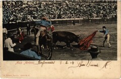 Bull fighting Bayonne Aux Arenes Folklore à Bayonne