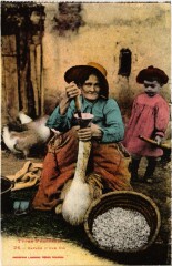 Pyrénées Gavage d'une Oie Folklore