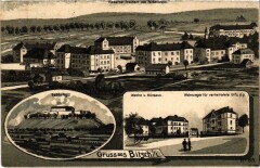 Gruss aus Bitche Bitsch Litho à Bitche