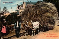 Pyrénées Attelage Béarnais Folklore