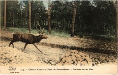 Foret de Fontainebleau Chasse a courre Hunting -
																					77300 Fontainebleau
																			