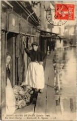 Carte postale ancienne Inondations de Paris (Janvier 1910) - Rue Saint-Charles - Marchande de Légumes
                                                                     à Paris 15e
                                