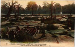 Foret de Fontainebleau Chasse a courre chiens Hunting à Fontainebleau