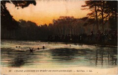 Foret de Fontainebleau Chasse a courre bat-l'eau Hunting à Fontainebleau